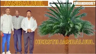 HEES MAAY -   BOQORTOOYADA BEESHA JAMBALUUL - EDKII ABDULQADIR ROOBOW