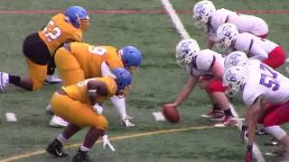 * * [3] Lakes Villa Eagles@Simeon Wolverines Football3 [State Playoffs] Cameramanjon/Chicago