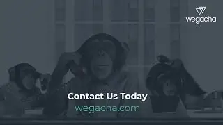 Wegacha - Monkey Business