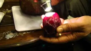 World biggest ruby star 10000 carats !! For sale!!