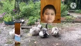 The Leaping Lizard Cafe | Đi Qu&aacute;n C&agrave; Ph&ecirc; Kiểu Mỹ