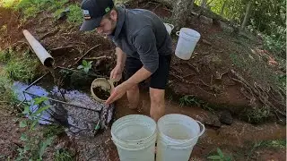 Começamos a renovar o estoque de peixes para a semana
