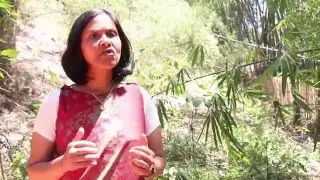 Support Bashida in conservation of fish and river ecosystems of India