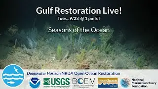 Gulf Restoration Live! Seasons of the Ocean