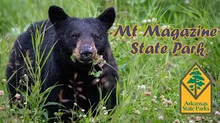 Natural Physical Therapy | Mt Magazine State Park  -  Episode 2