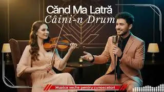 Când Mă Latră Câinii n Drum 💫 Sound Mix Romania | Reinterpretare Jazz Balkan 2024