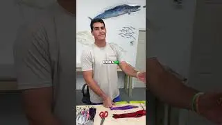 Wahoo season is near, answering a few questions I get asked regularly