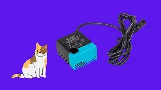 Before You Buy PetSafe Replacement Pump for Pet Drinking Fountains