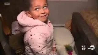 D7 Gives Live Reveal - Walker Family