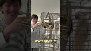 guess this song in reverse in 3 seconds... (Impossible)
