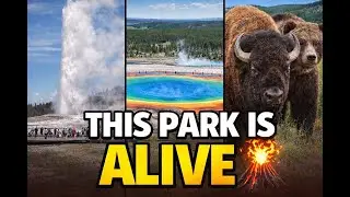 Yellowstone National Park EXPOSED 🌋 Wonders, Wildlife, and the Power Beneath Your Feet