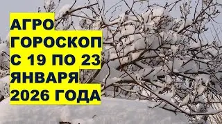 Агрогороскоп с 19 по 23 Января 2026: Важные Советы Садоводам и Огородникам!