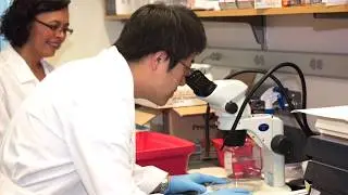Duke Orthopaedics Research Labs Video