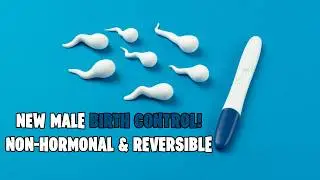 New Male Contraceptive: Revolutionary Non-Hormonal and Reversible Birth Control