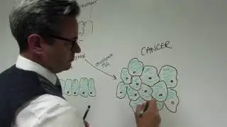Where Does Cancer Form?/ Cell Aug 25, 2016 (Vol. 166, Issue 5)