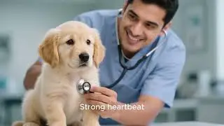 “Found on the Highway, Loved Forever | A One-Minute Puppy Rescue Story”
