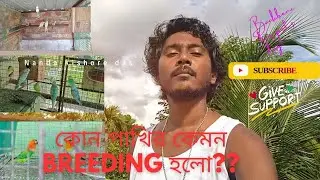 আমার colony তে এবার unexpected bleeding হলো??🤔