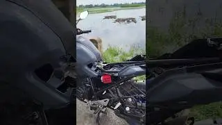 Universal Uni filter FZS V3 sound test 🏍 🔈🔉🔊🙉💨