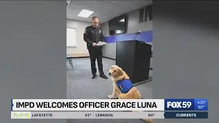 IMPD swears in new therapy dog to help victim assistance unit