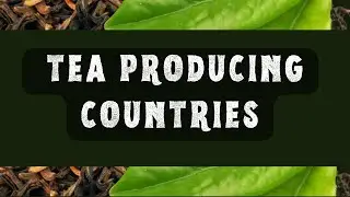 Tea producing countries | general knowledge @coolinfoworld