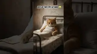 Daily routine: wake up, witness the madness, nope out. Back to bed.🛌😴 #sleepinertia #sleeploss