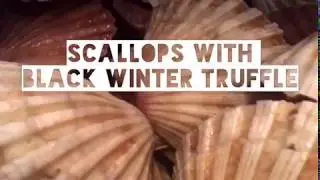 Scallops with black winter truffles // PRODAN TARTUFI