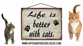 Quirky Cat-Themed Gift Ideas - Unique Pet Signs by Hip Signs For Cool Folks