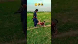 🤫🤣🤣 #funnyvideo #pranksfunny #comedy #shortsfeed