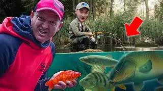 SHOCK Appearance | Ultimate Species Challenge!