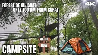 ⛺Kilad Campsite | Gujarat | Only 100 Km From Surat | Stay In Jungle | Travelzen Frenil