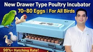 New Drawer Type Poultry Incubator | 70&ndash;80 Eggs | For All Birds | High Hatching Rate 