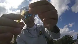 How To: DROP SWIMMING for bass