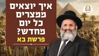 איך יוצאים ממצרים כל יום מחדש | פרשת בא | מו