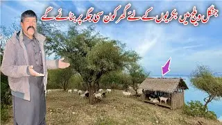 Jungle village ma goats ka lya ghar kon si place par banay ga 😳