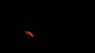 4th of july, lucky space rocket