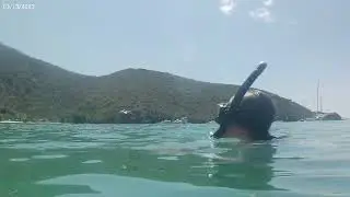 USVI Snorkel