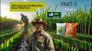 &ldquo;USA Sugarcane Fertilizer Plan for Maximum Yield &ndash; Farmers Must Watch!&rdquo; Part -3