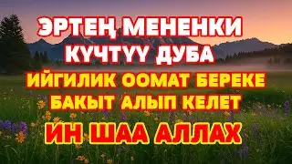 УЛ КУЧТУУ ДУБА ЖҮРӨГҮҢҮЗГӨ ТЫНЧТЫК, ҮЙҮҢҮЗГӨ БЕРЕКЕ АЛЫП КЕЛЕТ | ИНШААЛЛАХ