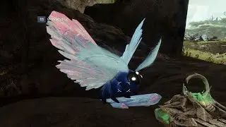 Reports of a unique lucent moth in the Apothecary - Lepidopterist - Destiny 2 Triumph