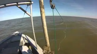 Shark Fishing in Venice Louisiana