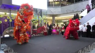 CCC Chinese New Year 2016  @ Brent Cross Shopping Centre