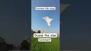 Big kite | Amritsar | lohri 2025 | basant 2025 #kiteflying #kitefestival #basant