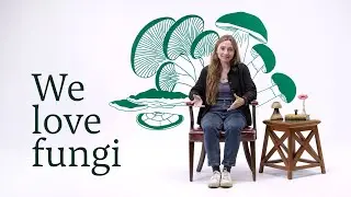 Fungi are our climate allies | Against All Odds
