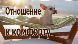 Отношение к комфорту и внешнему аскетизму