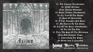Burzum - From The Depths Of Darkness [Preview]