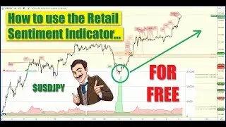 🤷&zwj;♂️ How to use the Retail 📊 Sentiment Indicator from MyFxBook - for FREE
