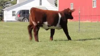 Ripberger 307