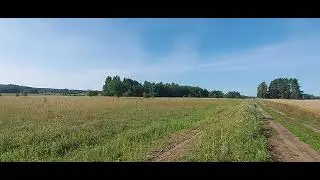 Duża działka na sprzedaż (1,76 HA), Porbady, gm. Jonkowo