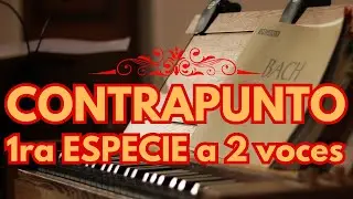 Primera Especie a Dos Voces: Teoría Completa.