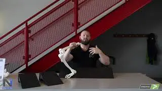 Anatomical Benefits of Solos Squat Wedges
